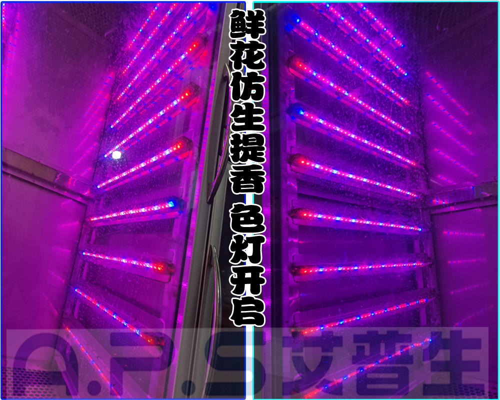 12、植物鮮花低溫萃取精華液專用設(shè)備=鮮花提香色燈開啟.jpg