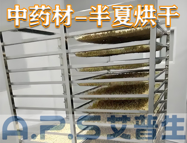 中藥材半夏烘干，除了傳統(tǒng)的烘干方法，首選推薦使用艾普生空氣能熱泵烘干機(jī)